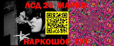 ПСИЛОЦИБИНОВЫЕ ГРИБЫ Можга