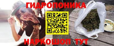 ПСИЛОЦИБИНОВЫЕ ГРИБЫ Можга