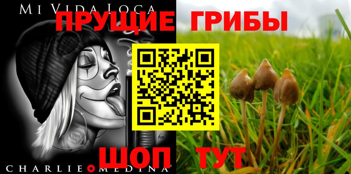 Псилоцибиновые грибы Cubensis  наркотики  Галлюциногенные грибы Magic Shrooms  Чапаевск  Вход с VPN 